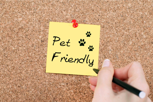 Understanding Pet Policies: Guidelines for Property Owners