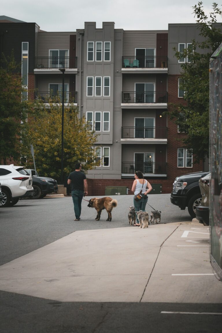 Dog relaxing inside a rental apartment